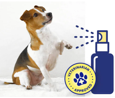 Pet Protection - Wundreinigung 